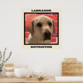 Beauful Yellow Labrador Retriever Dog Poster (Keuken)