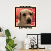 Beauful Yellow Labrador Retriever Dog Poster (Thuiskantoor)