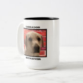 Beauful Yellow Labrador Retriever Dog Tweekleurige Koffiemok (Voorkant links)