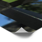 Beauful Yellow Lily Poster (Hoek)