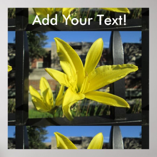 Beauful Yellow Lily Poster (Voorkant)