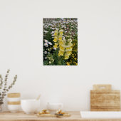 Beauful Yellow Snapdragon Flower Garden Poster (Keuken)