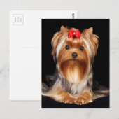 Beauful Yorkshire Terrier Briefkaart (Voorkant / Achterkant)