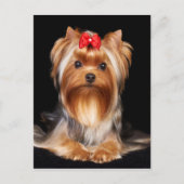 Beauful Yorkshire Terrier Briefkaart (Voorkant)