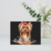 Beauful Yorkshire Terrier Briefkaart (Staand voorkant)