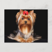 Beauful Yorkshire Terrier Briefkaart (Voorkant)