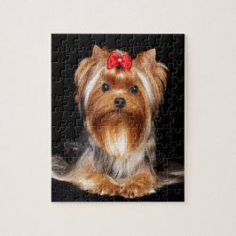 Beauful Yorkshire Terrier Legpuzzel