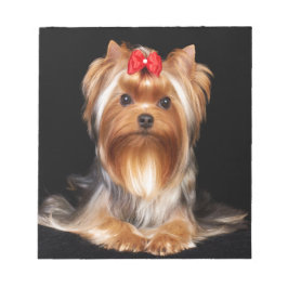 Beauful Yorkshire Terrier Notitieblok