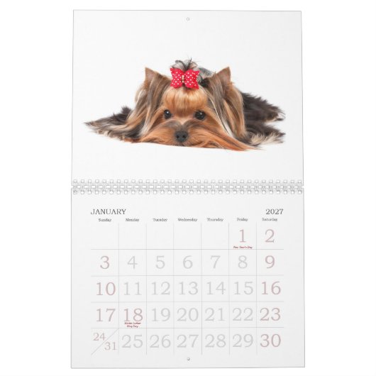 Beauful Yorkshire Terriers Kalender (Jan 2027)