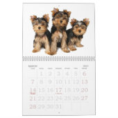Beauful Yorkshire Terriers Kalender (Mar 2027)
