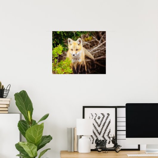 Beauful Young Fox Kit Poster (Thuiskantoor)