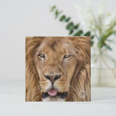 Beauful Zoo Safari Lion Fotografie (Staand voorkant)