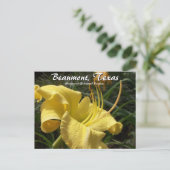 Beaumont, Texas Botanical Garden Day Lily Travel Briefkaart (Staand voorkant)
