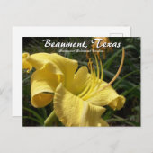 Beaumont, Texas Botanical Garden Day Lily Travel Briefkaart (Voorkant / Achterkant)