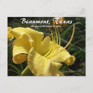 Beaumont, Texas Botanical Garden Day Lily Travel Briefkaart