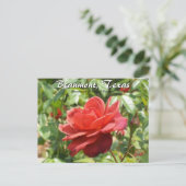 Beaumont, Texas Botanical Garden Rozen Reizen Briefkaart (Staand voorkant)