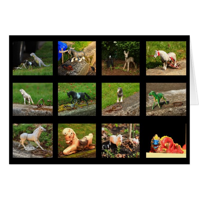 Beaumont Wildlife (Voorkant Horizontaal)