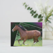 Beauteous Briefkaart van het Paard (Staand voorkant)