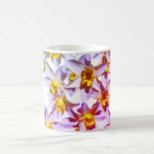 Beautful Daffodils Flowers Mok