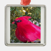 ***BEAUTIEF CARDINAL** CHRISTMAS LOVE ORNAMENT (Voorkant)