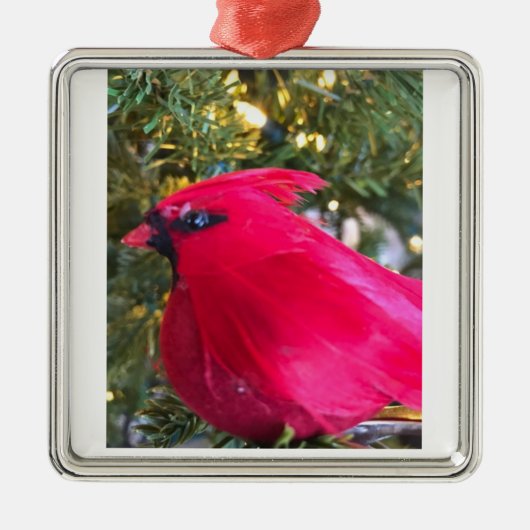 ***BEAUTIEF CARDINAL** CHRISTMAS LOVE ORNAMENT (Voorkant)