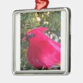 ***BEAUTIEF CARDINAL** CHRISTMAS LOVE ORNAMENT (Links)