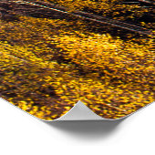 BEAUTIEF PIJNBOT POSTER (Hoek)