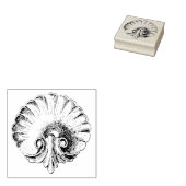 BEAUTIEF  SEASHELL RUBBERSTEMPEL (Gestempeld)