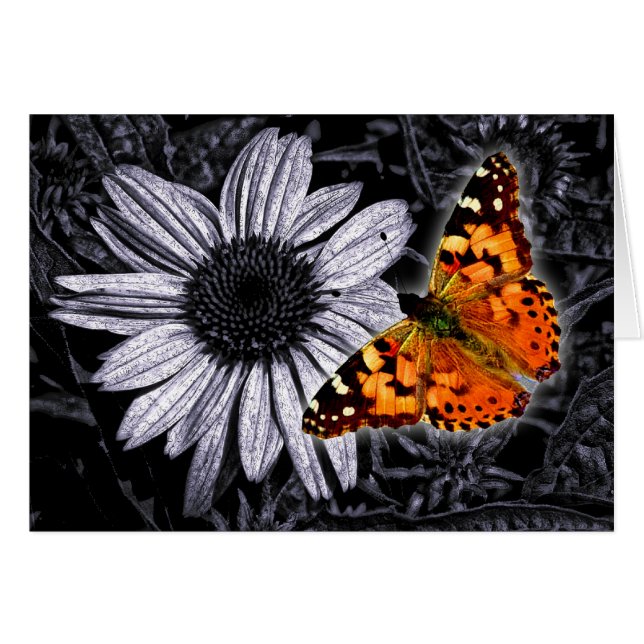 Beautifly (Voorkant Horizontaal)