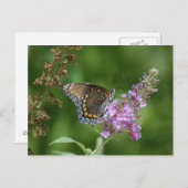 BEAUTIFUELE BUTTERFLES BRIEFKAART (Voorkant / Achterkant)