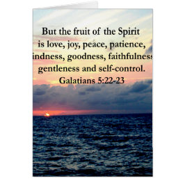 BEAUTIFUELE GALATIËNTEN VAN DE SPIRIT