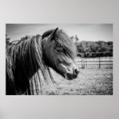 BEAUTIFUELE HOREN POSTER (Voorkant)