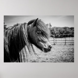 BEAUTIFUELE HOREN POSTER