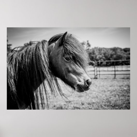 BEAUTIFUELE HOREN POSTER (Voorkant)