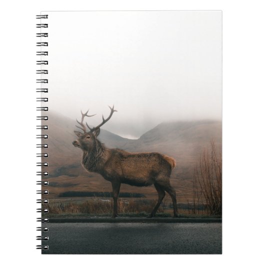 BEAUTIFUELE REINDEER NOTITIEBOEK (Voorkant)