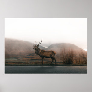 BEAUTIFUELE REINDEER POSTER