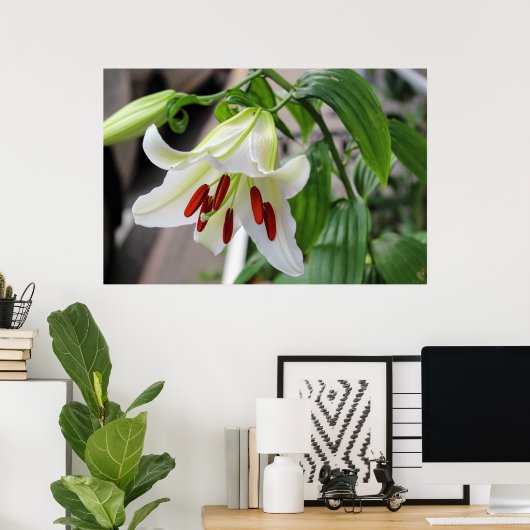 BEAUTIFUELE WIT LILY POSTER (Thuiskantoor)