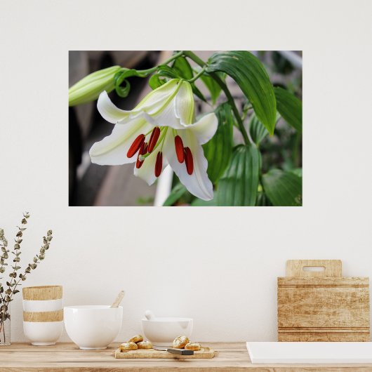 BEAUTIFUELE WIT LILY POSTER (Keuken)