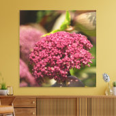 Beautiful Angelica Flower  Canvas Afdruk (Insitu (Woonkamer))