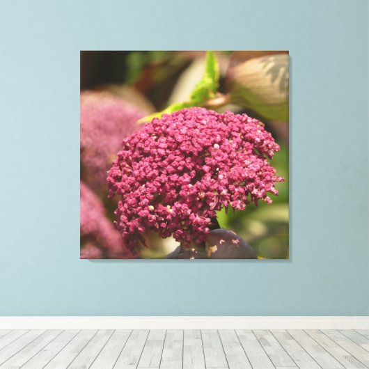 Beautiful Angelica Flower  Canvas Afdruk (Insitu (Houten vloer))