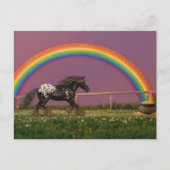 Beautiful Appaloosa at the Rainbow Briefkaart (Voorkant)