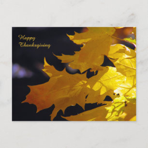 Beautiful Autumn Leaves Thanksgiving Greeting Feestdagenkaart