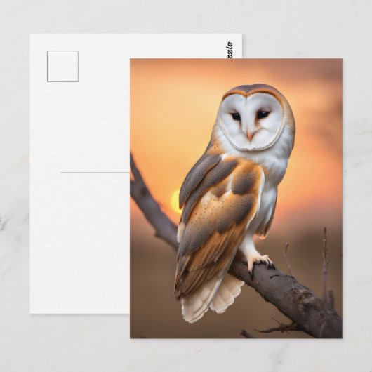 Beautiful Barn Owl Briefkaart (Voorkant / Achterkant)