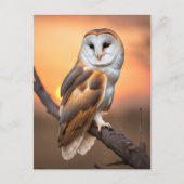 Beautiful Barn Owl Briefkaart (Voorkant)