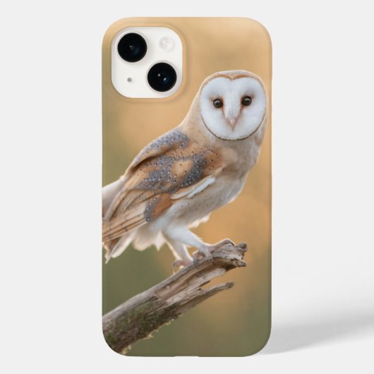 Beautiful Barn Owl Case-Mate iPhone Case (Achterkant)