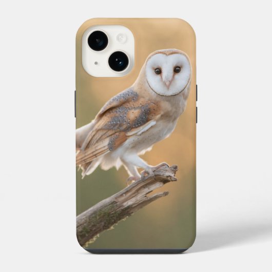 Beautiful Barn Owl iPhone Hoesje (Achterkant)