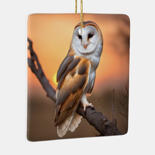 Beautiful Barn Owl Keramisch Ornament (Rechts)