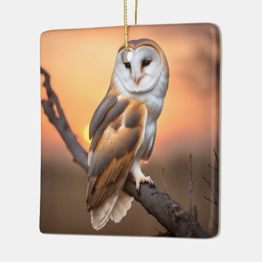 Beautiful Barn Owl Keramisch Ornament (Links)