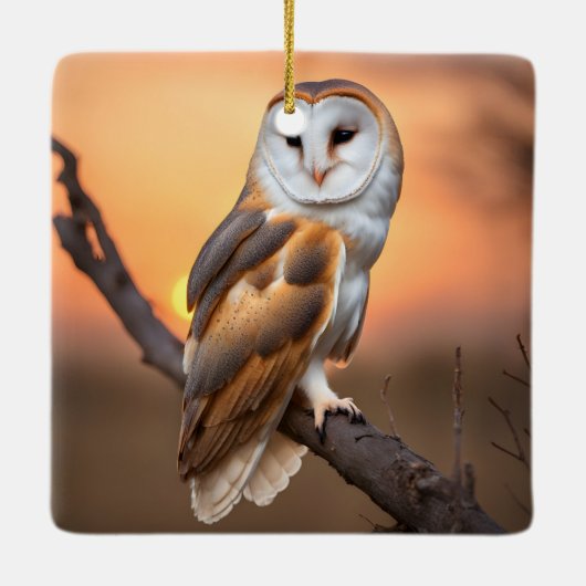Beautiful Barn Owl Keramisch Ornament (Achterkant)