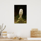 Beautiful Barn Owl Poster/Print Poster (Keuken)